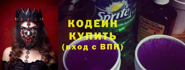 шишки Снежинск