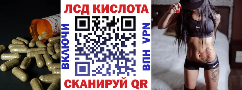 дарнет шоп  Бологое  MEGA ССЫЛКА  Лсд 25 экстази кислота 