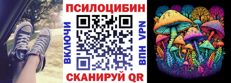 Галлюциногенные грибы прущие грибы закладки Бологое